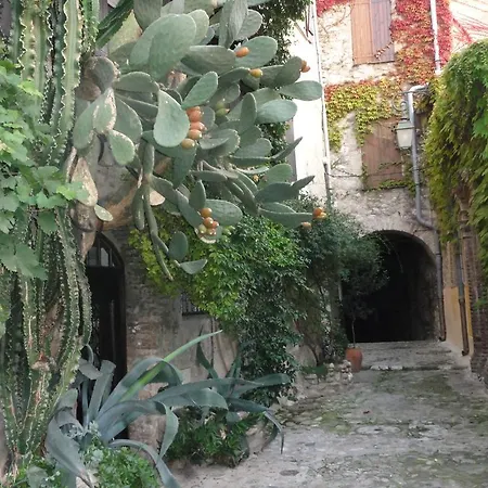 Les Grimaldines - Maison D'Hotes Guest house 2*