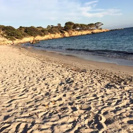 Maison d'hôtes Les Grimaldines - Cagnes-sur-Mer