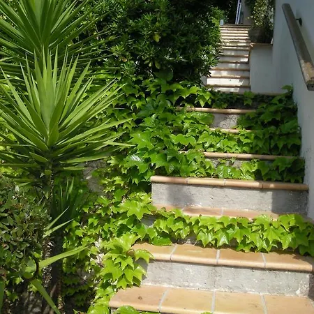 Affittacamere Les Grimaldines - Cagnes-sur-Mer
