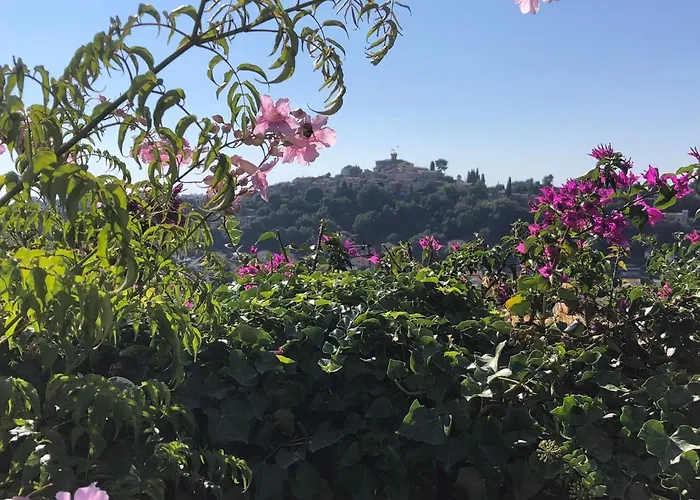 Les Grimaldines - Maison D'Hotes Guest house Cagnes-sur-Mer